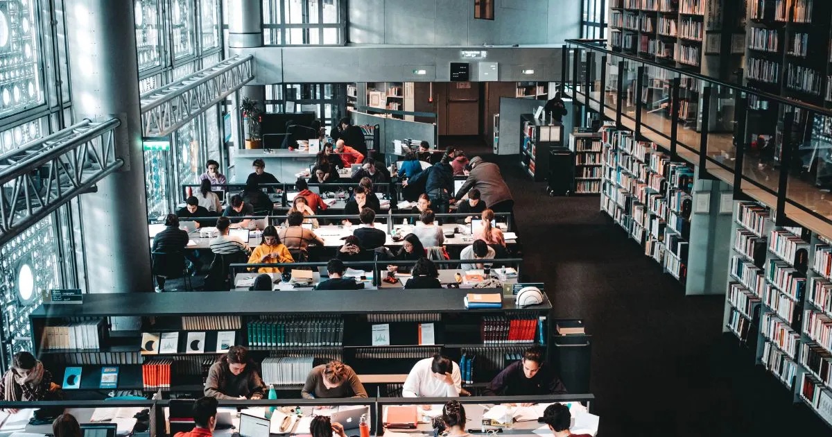 Law School vs. Reality: What to Expect